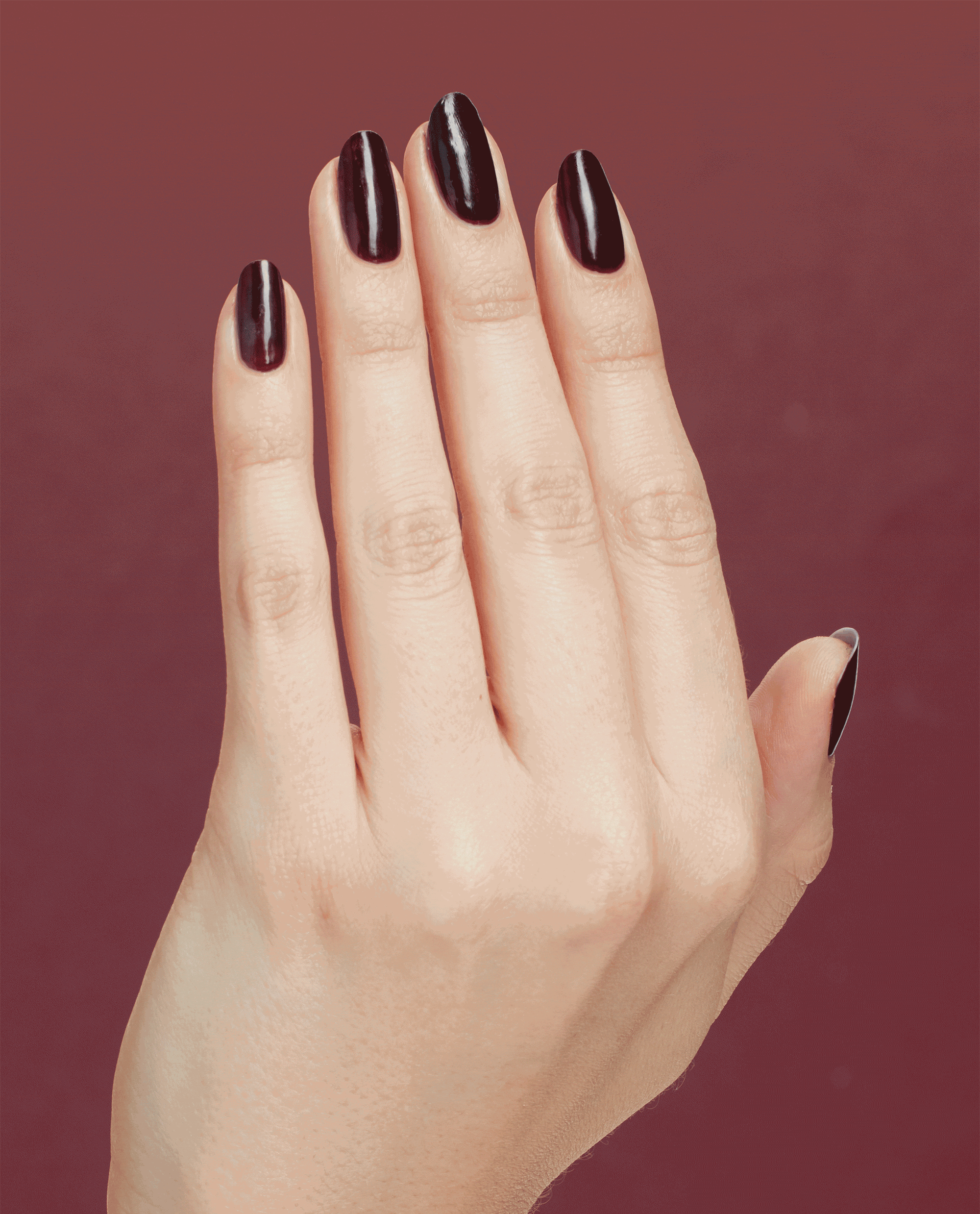complimentary-wine-hand-gif_87a6d374-0597-4f13-a50c-6cda1b1a889b.gif