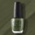 Washington DC: Suzi - The First Lady of Nails